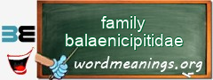 WordMeaning blackboard for family balaenicipitidae